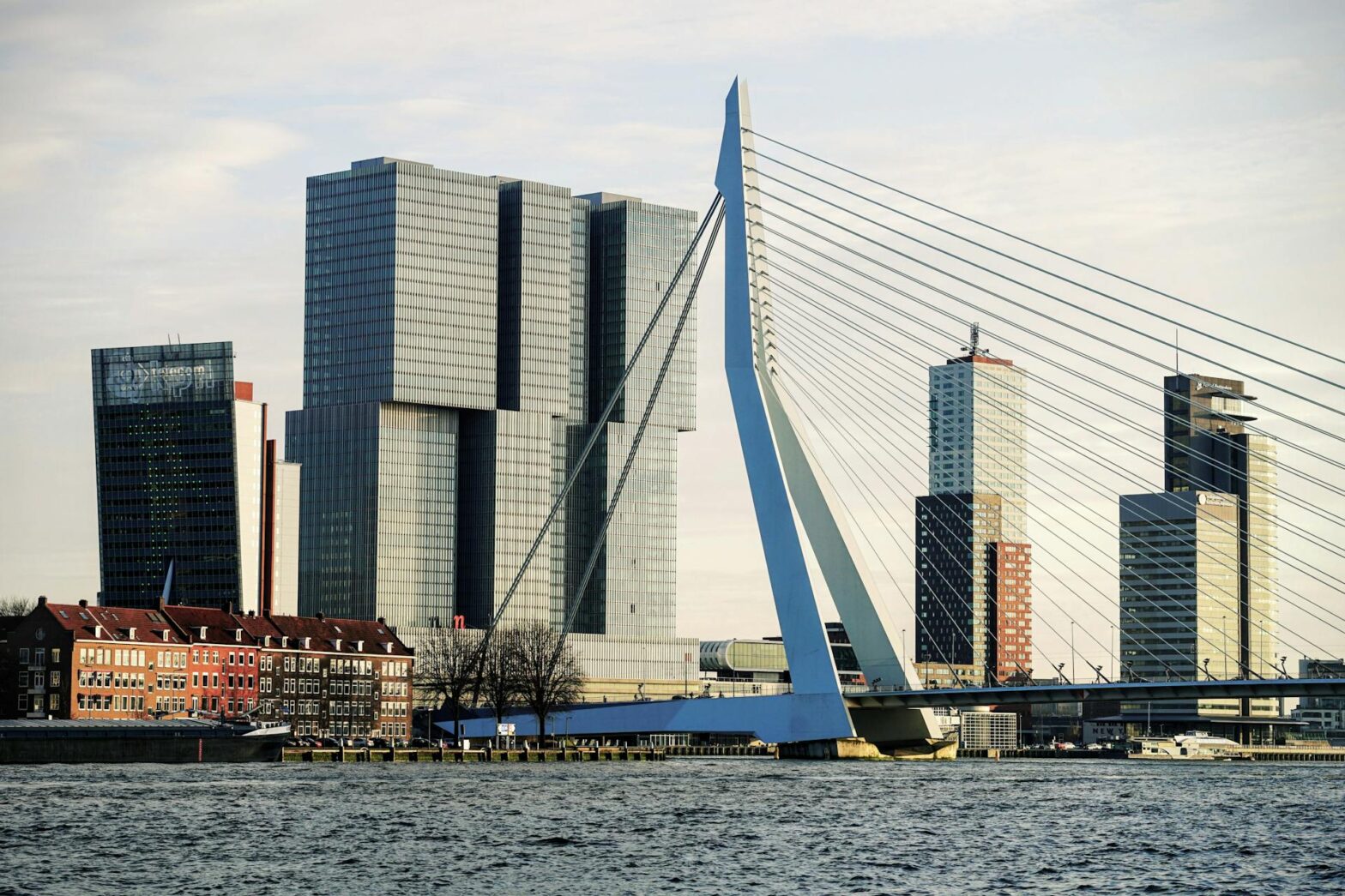 Vastgoed consultancy RPS Rotterdam